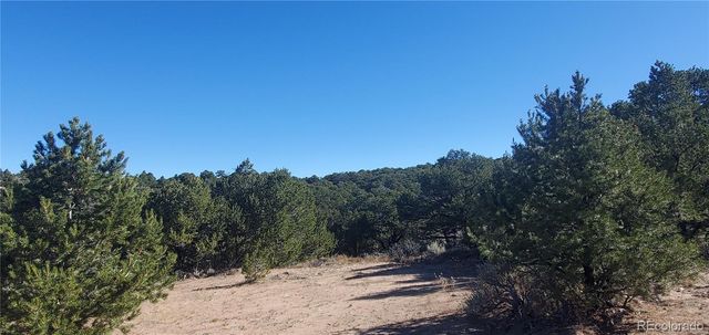 Lot 7356 Bidwell Road, Fort Garland, CO 81133