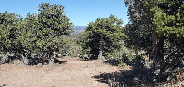 Lot 7356 Bidwell Road, Fort Garland, CO 81133