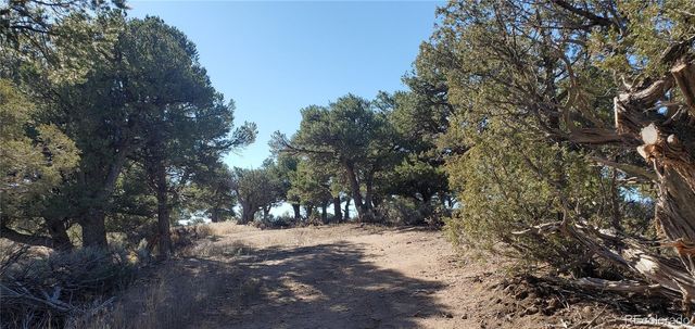 Lot 7356 Bidwell Road, Fort Garland, CO 81133