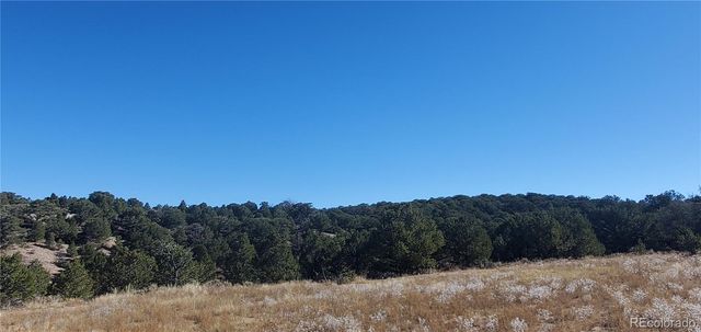 Lot 7356 Bidwell Road, Fort Garland, CO 81133