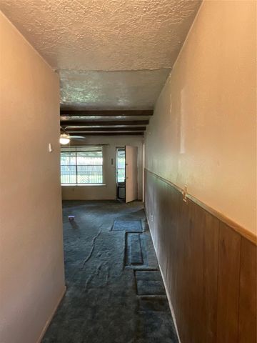 11710 Chadbrook Lane, Houston, TX 77099