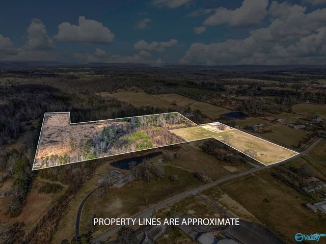 1407 Union Chapel Road, Union Grove, AL 35175