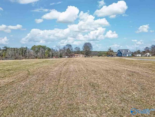 1407 Union Chapel Road, Union Grove, AL 35175