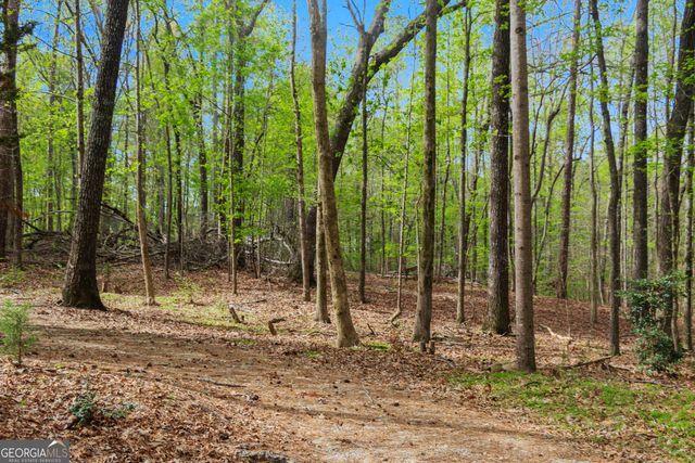 0 Ridge Road, South Fulton, GA 30213