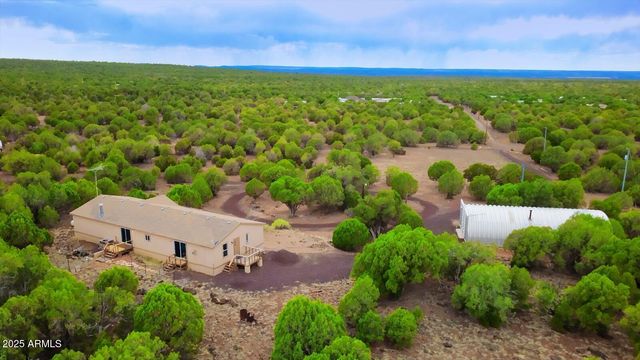 7865 CHRISTMAS TREE Road, Show Low, AZ 85901