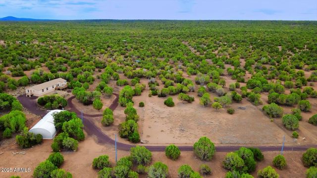 7865 CHRISTMAS TREE Road, Show Low, AZ 85901