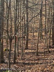 Whistle Valley Rd, New Tazewell, TN 37825