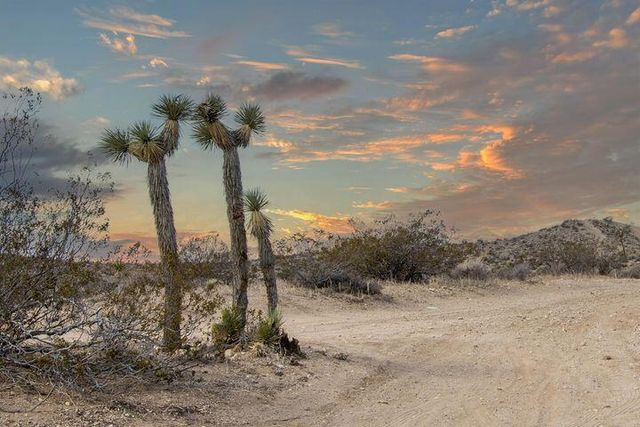 57352 Sunflower Drive, Yucca Valley, CA 92284