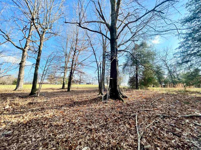 1494 9 Highway, Salem, AR 72576
