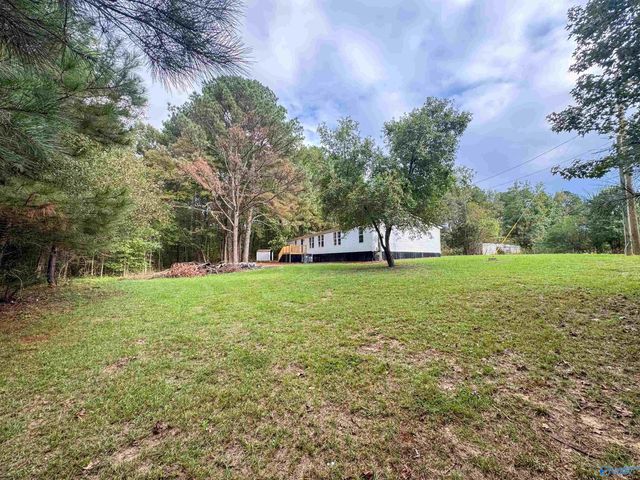 714 County Road 317, Trinity, AL 35673
