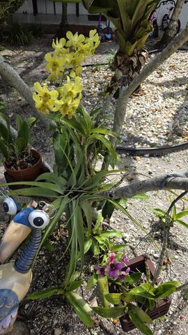 618 SW 14th Terrace 4, Fort Lauderdale, FL 33312