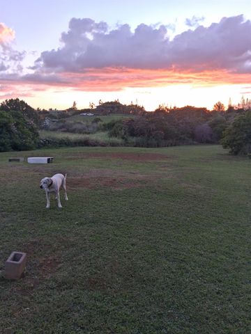 2226 Lilikoi Rd, Haiku, HI 96708