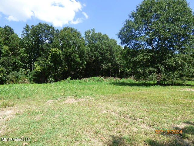 1049 Johnson Lane, Port Gibson, MS 39150