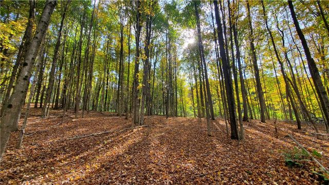 448 Southside Drive, Oneonta, NY 13820