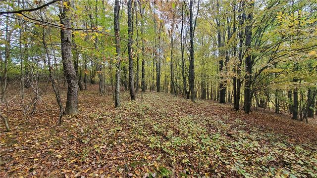 448 Southside Drive, Oneonta, NY 13820