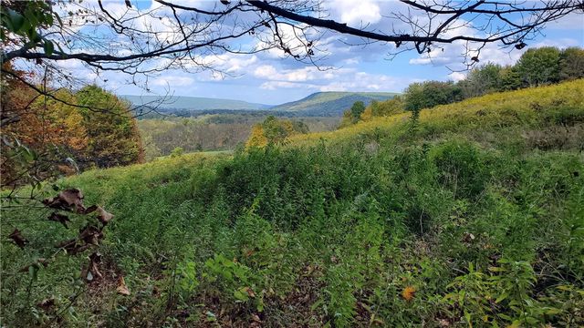 448 Southside Drive, Oneonta, NY 13820