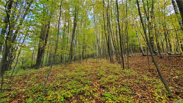 448 Southside Drive, Oneonta, NY 13820