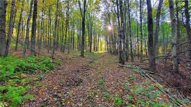 448 Southside Drive, Oneonta, NY 13820