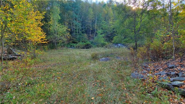 448 Southside Drive, Oneonta, NY 13820