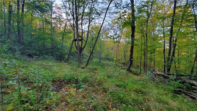 448 Southside Drive, Oneonta, NY 13820