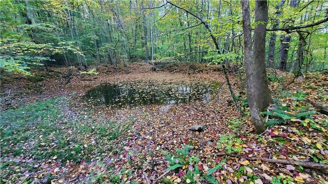 448 Southside Drive, Oneonta, NY 13820