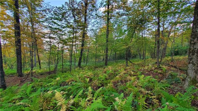 448 Southside Drive, Oneonta, NY 13820