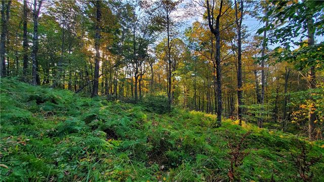 448 Southside Drive, Oneonta, NY 13820