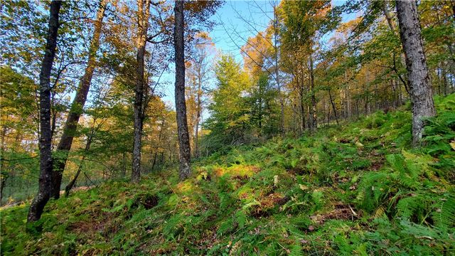 448 Southside Drive, Oneonta, NY 13820