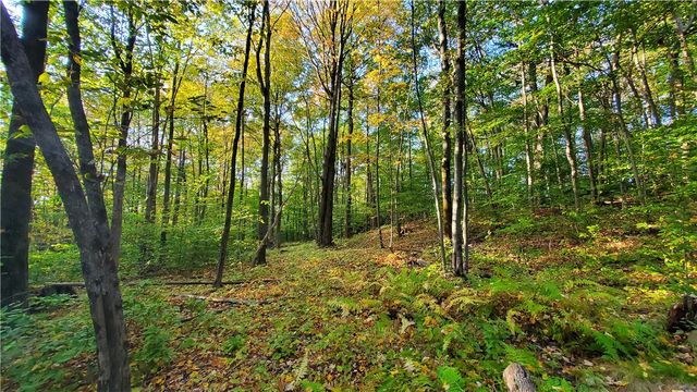 448 Southside Drive, Oneonta, NY 13820