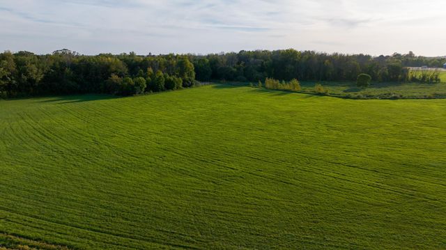 TBD County Rd. 50, Carver, MN 55315