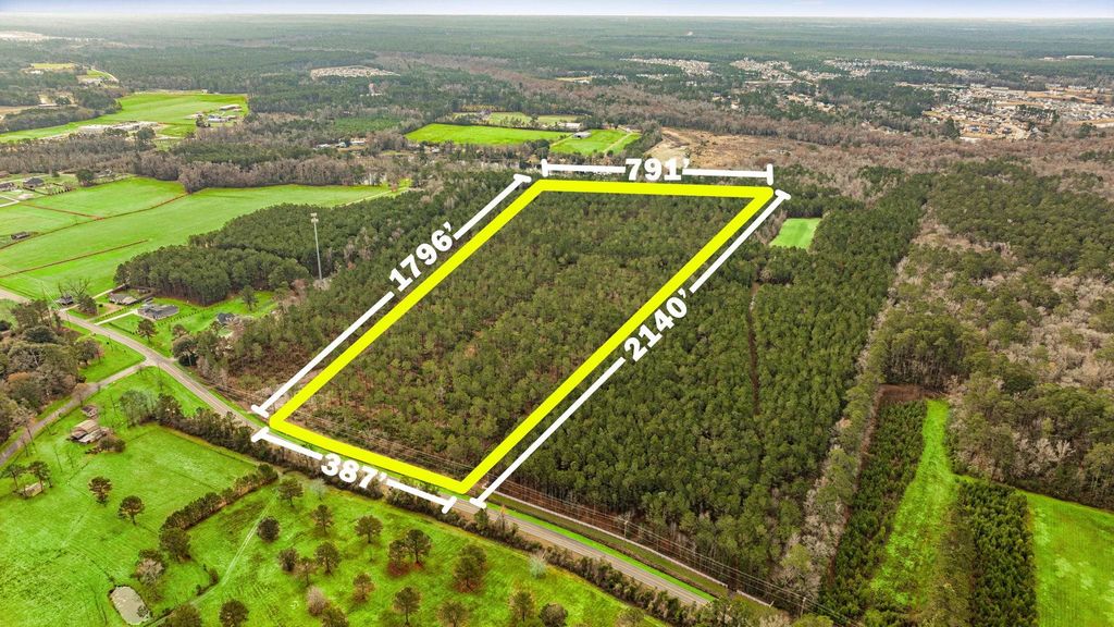 Old Reaves Ferry Rd., Conway, SC 29526 — photo 2