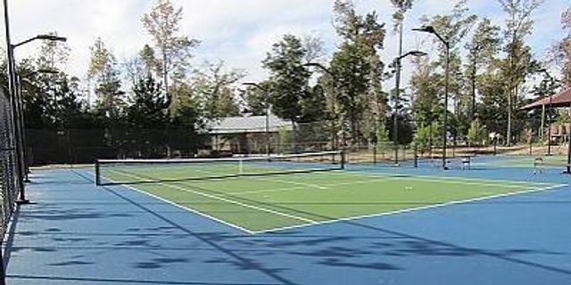 4343 Imperial Gardens Drive, Spring, TX 77386