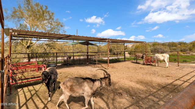 6447 E Lone Mountain Road N, Cave Creek, AZ 85331