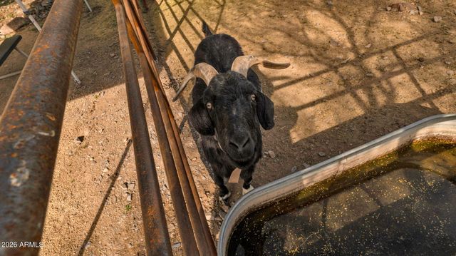 6447 E Lone Mountain Road N, Cave Creek, AZ 85331