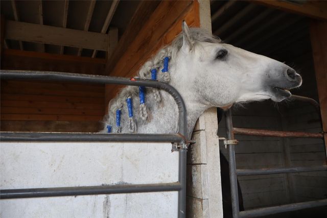 2690 County Road 466, Elgin, TX 78621