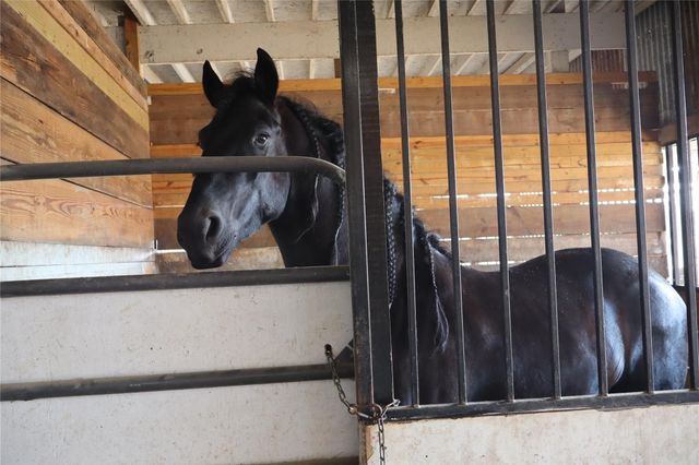 2690 County Road 466, Elgin, TX 78621