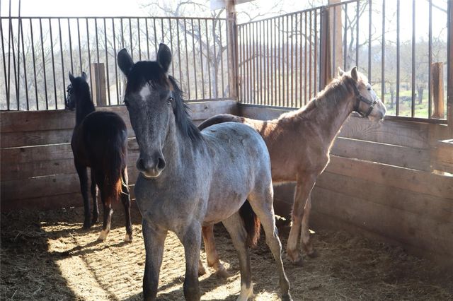 2690 County Road 466, Elgin, TX 78621