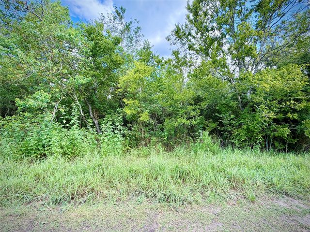 0 County Road 121 Off-Nar, Rosharon, TX 77584