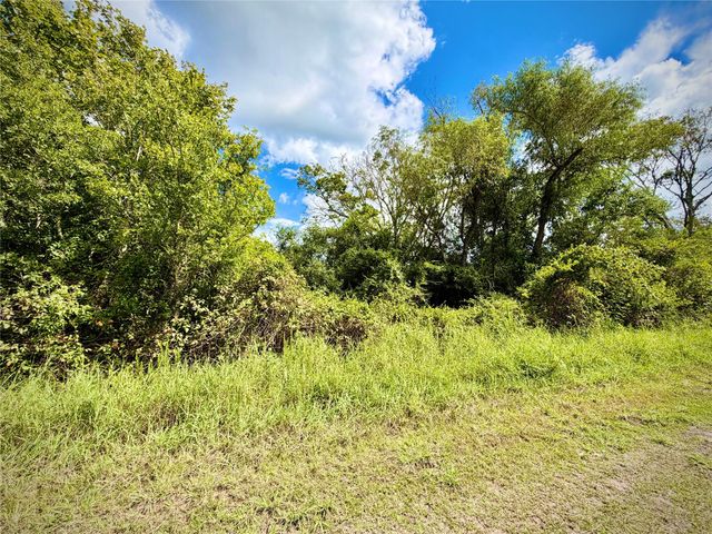 0 County Road 121 Off-Nar, Rosharon, TX 77584