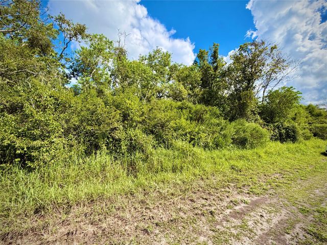 0 County Road 121 Off-Nar, Rosharon, TX 77584