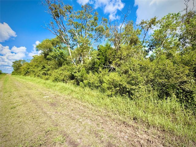 0 County Road 121 Off-Nar, Rosharon, TX 77584