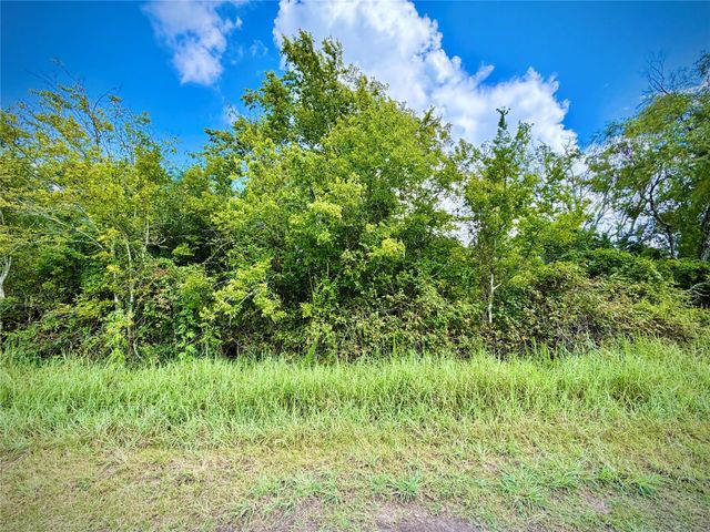 0 County Road 121 Off-Nar, Rosharon, TX 77584