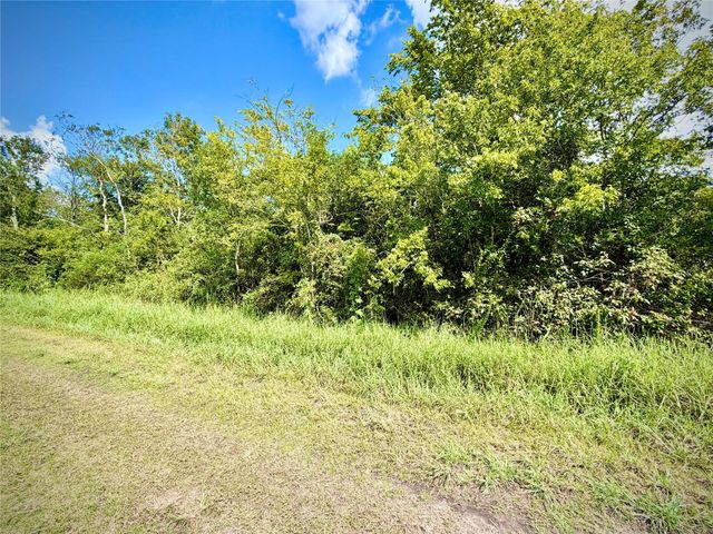 0 County Road 121 Off-Nar, Rosharon, TX 77584