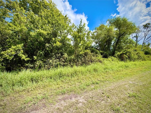 0 County Road 121 Off-Nar, Rosharon, TX 77584