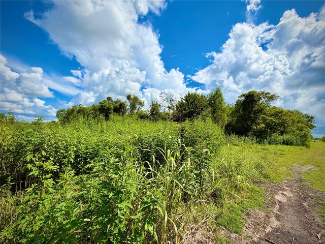 0 County Road 121 Off-Nar, Rosharon, TX 77584