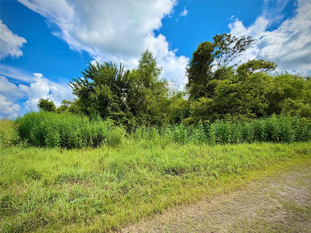 0 County Road 121 Off-Nar, Rosharon, TX 77584