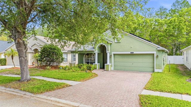 10930 MAY APPLE COURT, Land O Lakes, FL 34638