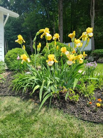 20 Drexel St, Worcester, MA 01602
