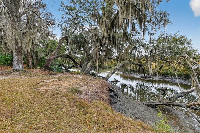 3317 NE Julienton Drive, Townsend, GA 31331