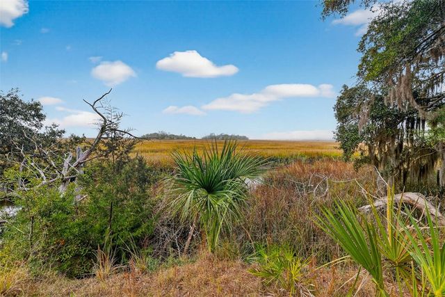 3317 NE Julienton Drive, Townsend, GA 31331